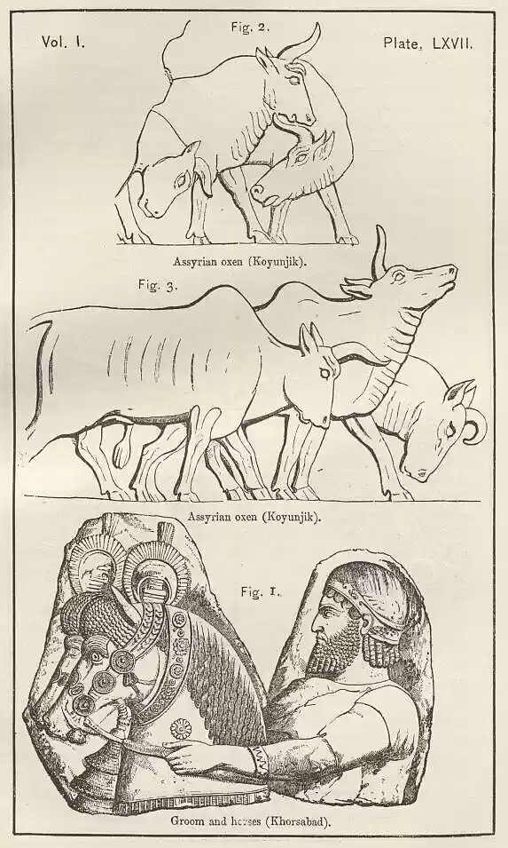 plate067